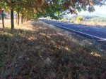 Inversiones Maule - Proyecto en Curso (10)