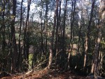 Inversiones Maule - Proyecto en Curso (2)