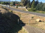 Inversiones Maule - Proyecto en Curso (7)