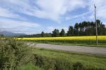 Inversiones Maule - Proyectos Realizados (1)