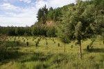 Inversiones Maule - Proyectos Realizados (10)
