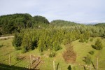 Inversiones Maule - Proyectos Realizados (13)