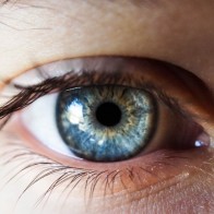 Vision Inversiones Maule